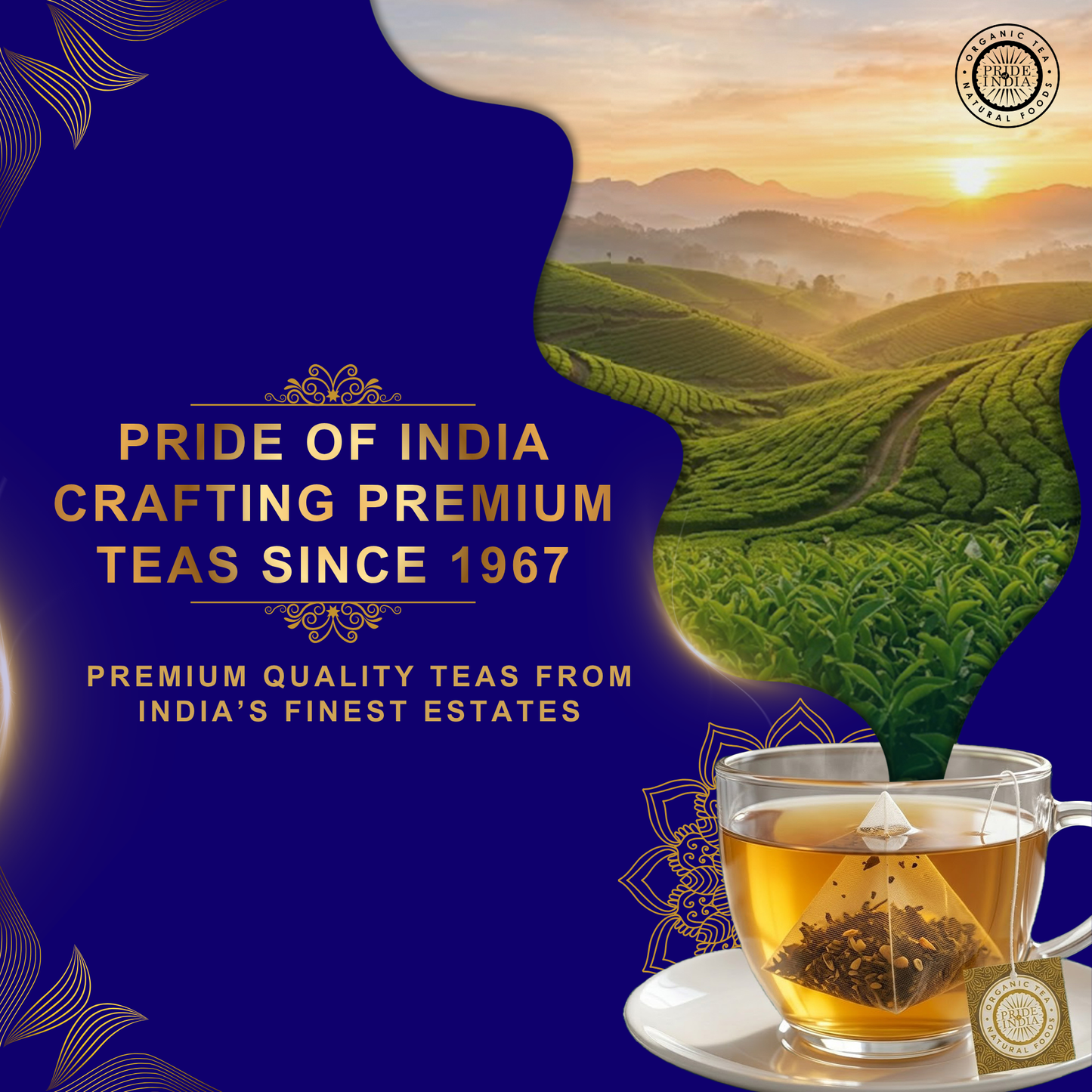 Blue Sapphire - Butterfly Pea Bliss Tea Bags