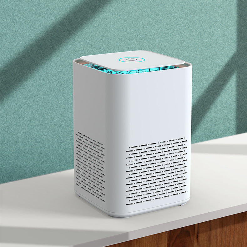 Indoor Air Purifier with USB Interface for Home Use