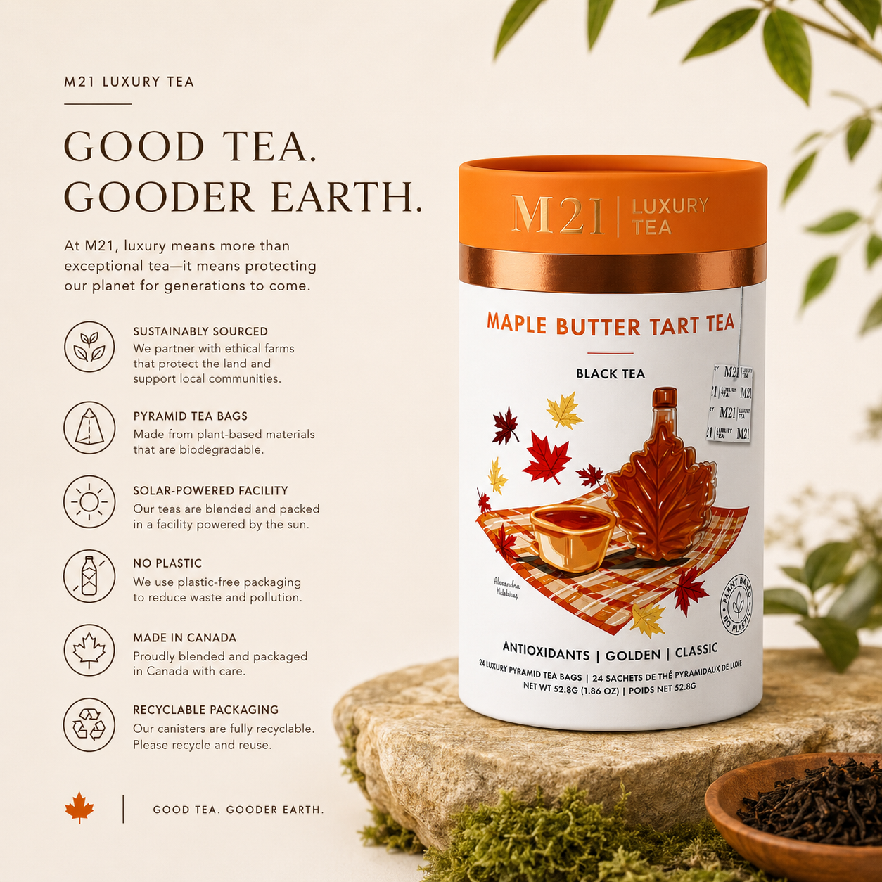 Maple Butter Tart Luxury Tea | Canadian | 24ct